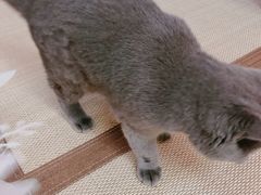 -第三空间·趣味桌游·轰趴.室内CS.剧本杀(大武汉1911店)