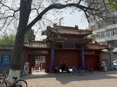 -桃花堤公园