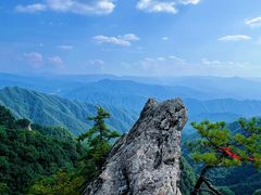 -王顺山国家森林公园