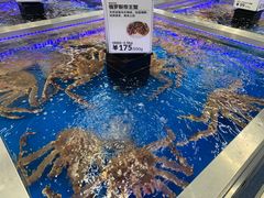 -盒马X会员店(上海森兰商都店)