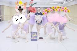 -艾薇芭蕾艺术中心