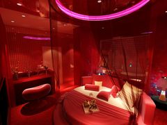 玫瑰伊人-天鹅恋主题酒店(光谷广场步行街店)