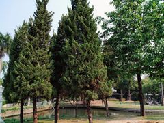 -尚泰清迈机场购物中心