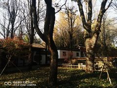 -西湖风景区十里琅珰-五云山