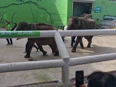 -大连森林动物园