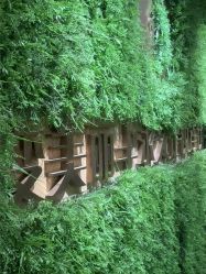 -变美丽半永久纹眉连锁·机器野生眉•洗眉