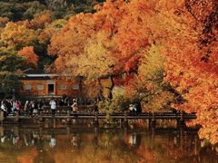 -北寺塔