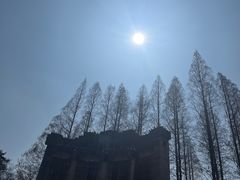 -音乐台
