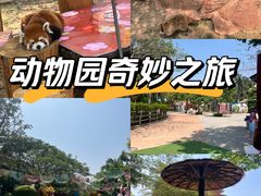 -灵玲国际马戏城