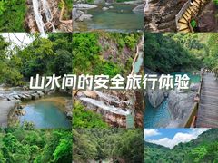 -广州白江湖森林公园