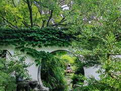 -上海醉白池公园