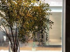 -曲廊院(东四十一条店)