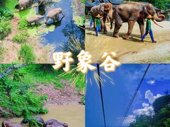 -中国科学院西双版纳热带植物园