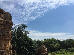 -九龙江国家森林公园