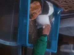 -溪岸路花鸟市场