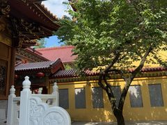 -东天目山风景区