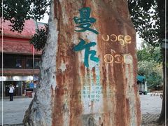 -西双版纳傣族园