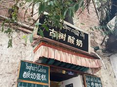-古树酸奶(八廓南街店)