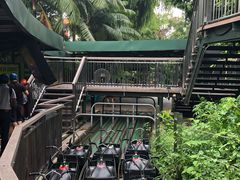 -圣淘沙天际线斜坡滑车