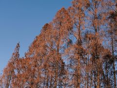 -上海虹桥迎宾馆