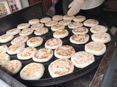 -眼镜粑粑