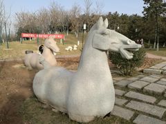 -鹦鹉寺公园