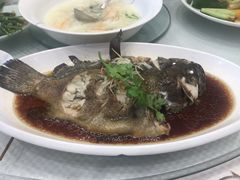 清蒸青斑-双井轩(双井店)