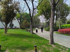 -尚贤河湿地