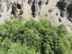 -峡谷浮石林景区