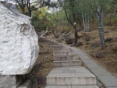 -北京十三陵国家森林公园蟒山景区