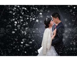 点击看大图 爱城婚纱摄影-爱城婚纱摄影·品质严选店