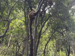 -黔灵山公园