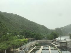 -天源渔港农庄