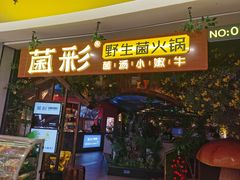 -菌彩云南野生菌火锅(呈贡七彩云南第壹城店)