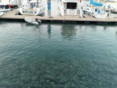 -美人鱼帆船海鲜餐厅(七星湾游艇会店)