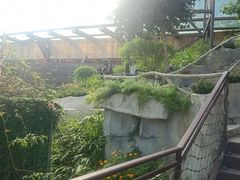 -巴倒烫陆派火锅山庄(南山总店)