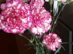 -奥美花店(天津市住房公积金管理中心河东管理部店)