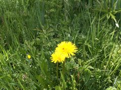 -互助北山国家地质公园漂流