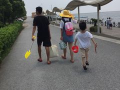 -碧海金沙