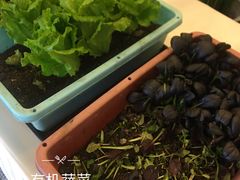 -金陵之星大酒店·中餐厅