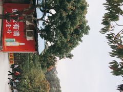 -满記土窑烧鷄波浪山莊