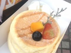 -狐狸和向日葵(北京路店)