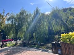 -苏州河梦清园环保主题公园