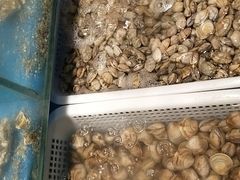 -深海800米海鲜自助(万达广场店)