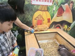 -神奇动物撸宠馆·羊驼·小浣熊·异宠(豫园店)