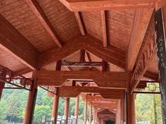 -重庆彩云湖湿地公园