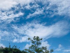 -大罗山风景区