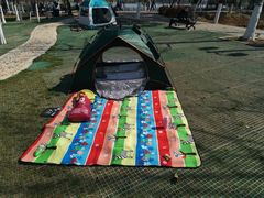 -金银湖国家城市湿地公园