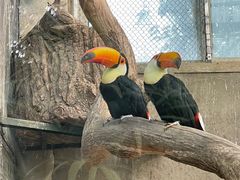 -大连森林动物园