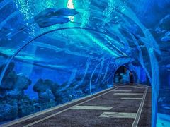 -成都浩海立方海洋公园